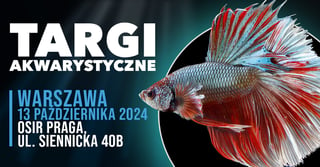 targi-akwarystyczne-bedace-czescia-eventu-zooegzotyka