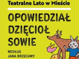 teatr-dzieci-dla-dzieci-premiera-opowiedzial-dzieciol-sowie