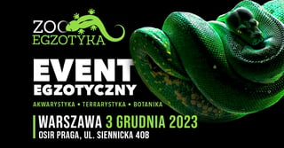 ZooEgzotyka Warszawa - 3 grudnia 2023r. w OSiR Praga-Południe