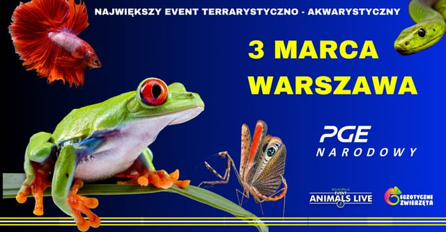 warszawa-3-marca-animals-live-egzotyczne-zwierzeta-terrarystyka-akwarystyka
